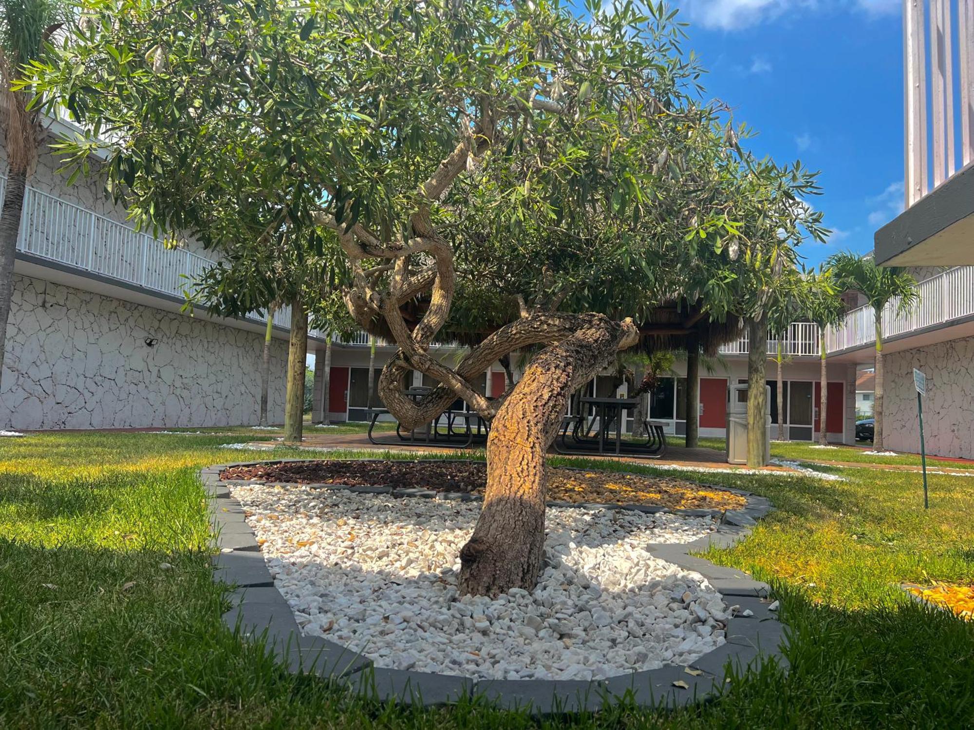 Garden Inn Homestead/Everglades/Gateway To Keys Luaran gambar
